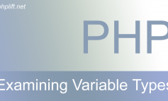 Examining variable types in PHP